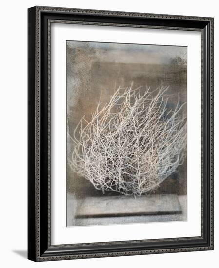 Desert Form V-Elena Ray-Framed Art Print