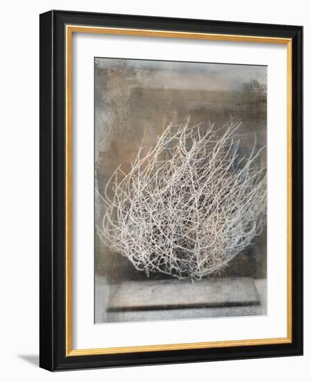 Desert Form V-Elena Ray-Framed Art Print