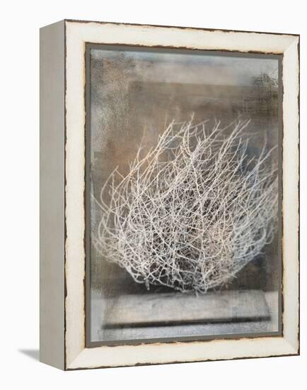 Desert Form V-Elena Ray-Framed Stretched Canvas