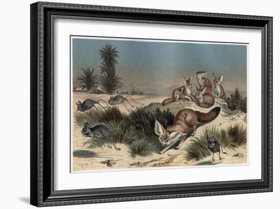 Desert Fox by Alfred Edmund Brehm-Stefano Bianchetti-Framed Giclee Print