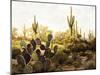 Desert Garden-Mark Chandon-Mounted Giclee Print