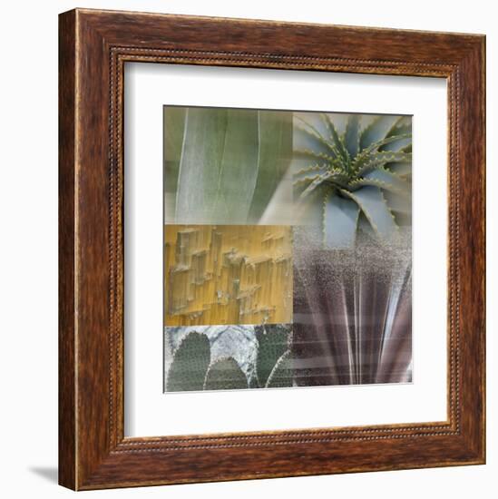 Desert Gaze-Sidney Aver-Framed Art Print