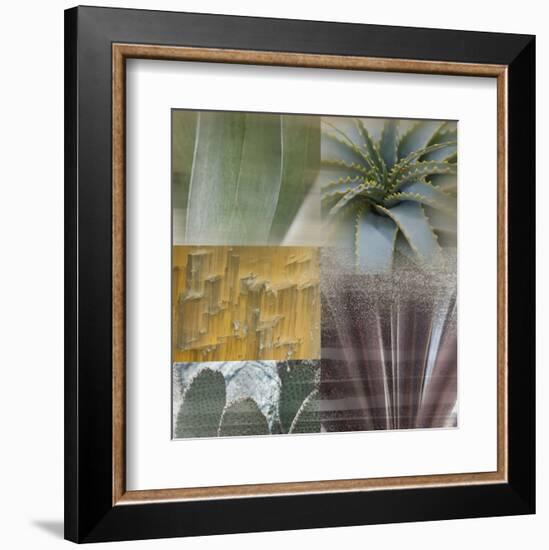 Desert Gaze-Sidney Aver-Framed Art Print