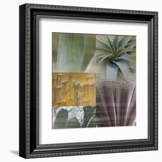 Desert Gaze-Sidney Aver-Framed Art Print