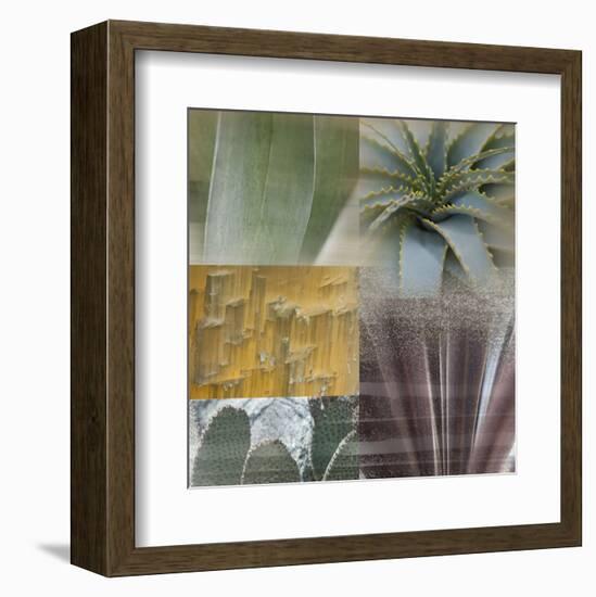 Desert Gaze-Sidney Aver-Framed Art Print