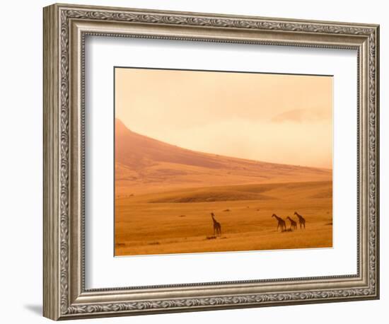 Desert Giraffes in the Mist, Namibia-Claudia Adams-Framed Photographic Print