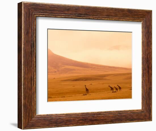 Desert Giraffes in the Mist, Namibia-Claudia Adams-Framed Photographic Print