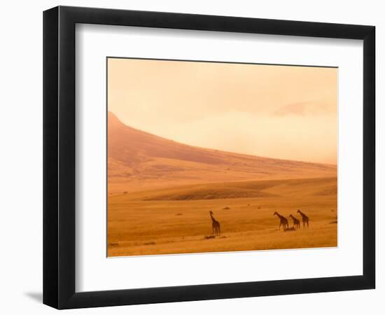 Desert Giraffes in the Mist, Namibia-Claudia Adams-Framed Photographic Print