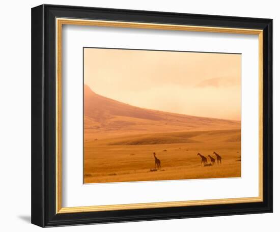 Desert Giraffes in the Mist, Namibia-Claudia Adams-Framed Photographic Print