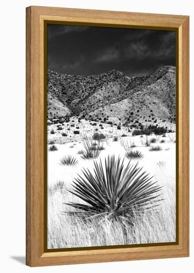 Desert Grasslands I BW-Douglas Taylor-Framed Premier Image Canvas