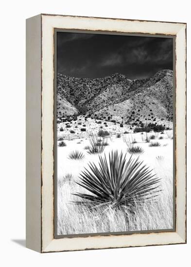 Desert Grasslands I BW-Douglas Taylor-Framed Premier Image Canvas