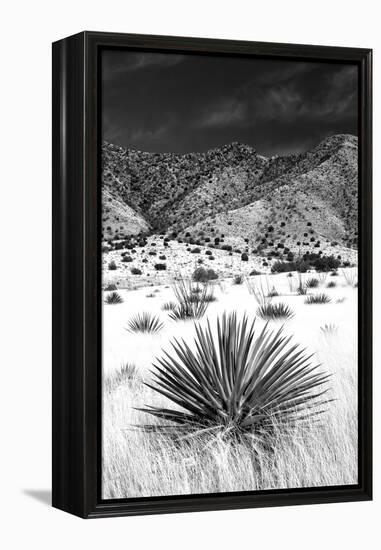 Desert Grasslands I BW-Douglas Taylor-Framed Premier Image Canvas