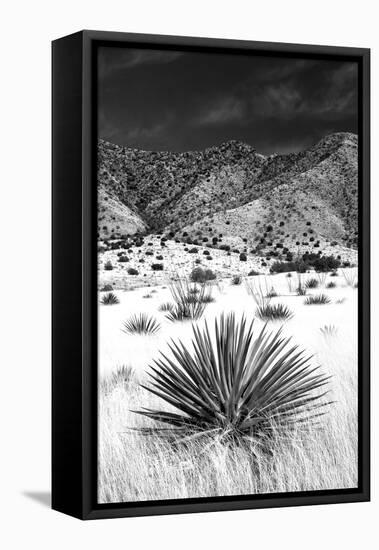 Desert Grasslands I BW-Douglas Taylor-Framed Premier Image Canvas