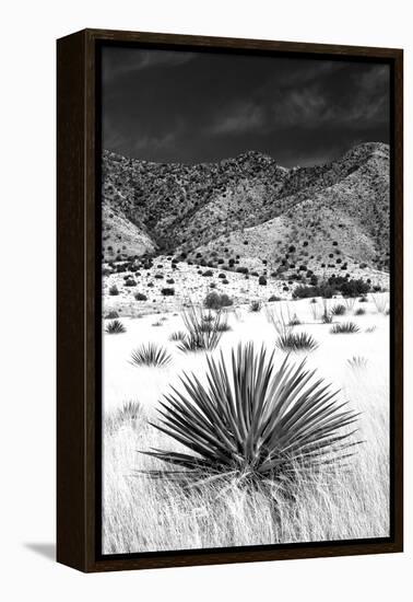 Desert Grasslands I BW-Douglas Taylor-Framed Premier Image Canvas