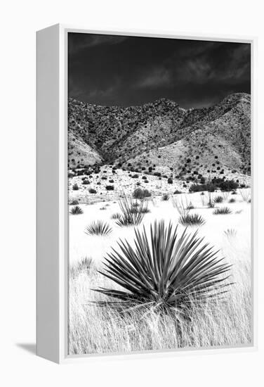 Desert Grasslands I BW-Douglas Taylor-Framed Premier Image Canvas