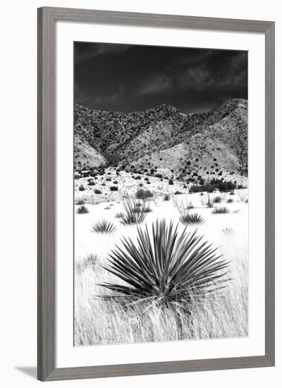 Desert Grasslands I BW-Douglas Taylor-Framed Photographic Print