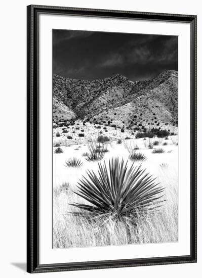 Desert Grasslands I BW-Douglas Taylor-Framed Photographic Print