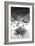 Desert Grasslands I BW-Douglas Taylor-Framed Photographic Print