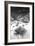 Desert Grasslands I BW-Douglas Taylor-Framed Photographic Print