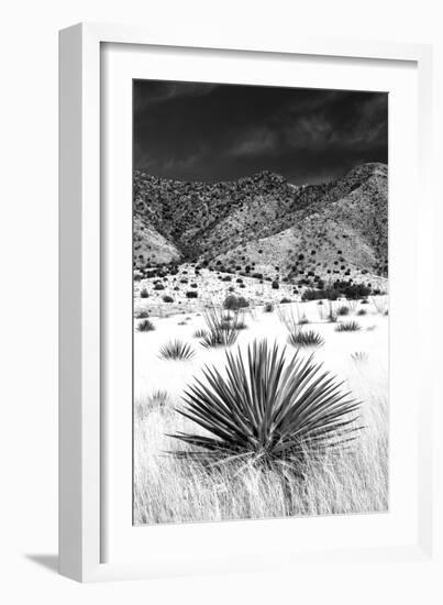 Desert Grasslands I BW-Douglas Taylor-Framed Photographic Print