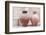 Desert Home - Ancient Antique Jars-Philippe HUGONNARD-Framed Photographic Print