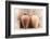 Desert Home - Two Antique Jars-Philippe HUGONNARD-Framed Photographic Print