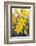 Desert hyacinth flower, Mexico-Claudio Contreras-Framed Photographic Print