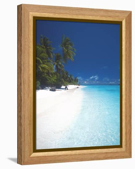 Desert Island, Baa Atoll, the Maldives, Indian Ocean, Asia-Sakis Papadopoulos-Framed Premier Image Canvas
