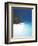 Desert Island, Baa Atoll, the Maldives, Indian Ocean, Asia-Sakis Papadopoulos-Framed Photographic Print