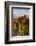 Desert Island Golf and Country Club, Palm Springs, California, USA-Richard Duval-Framed Photographic Print