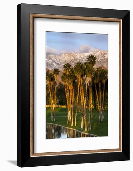 Desert Island Golf and Country Club, Palm Springs, California, USA-Richard Duval-Framed Photographic Print