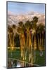 Desert Island Golf and Country Club, Palm Springs, California, USA-Richard Duval-Mounted Photographic Print