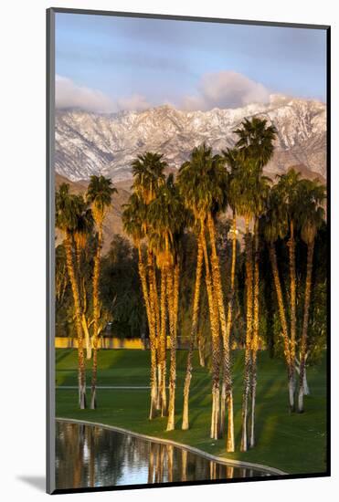 Desert Island Golf and Country Club, Palm Springs, California, USA-Richard Duval-Mounted Photographic Print