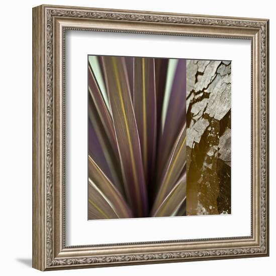 Desert Jewels II-Sidney Aver-Framed Art Print