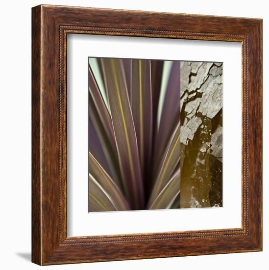 Desert Jewels II-Sidney Aver-Framed Art Print