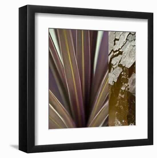 Desert Jewels II-Sidney Aver-Framed Art Print