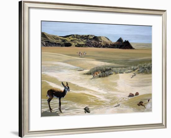Desert Landscape and Fauna, Drawing-null-Framed Giclee Print
