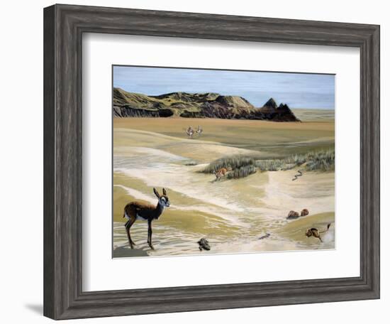 Desert Landscape and Fauna, Drawing-null-Framed Giclee Print