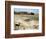 Desert Landscape and Fauna, Drawing-null-Framed Giclee Print