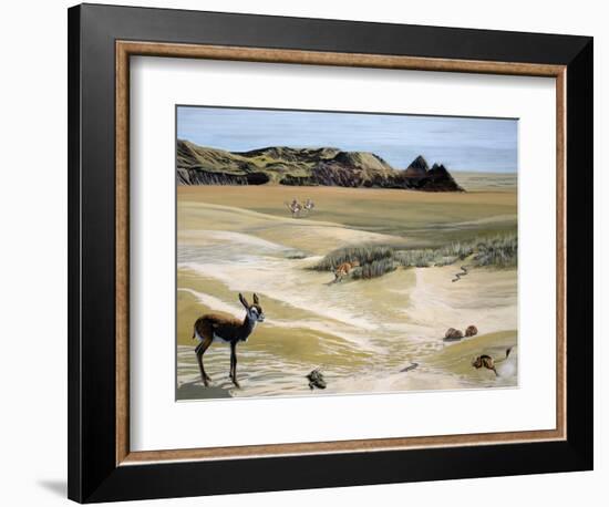 Desert Landscape and Fauna, Drawing-null-Framed Giclee Print