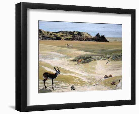 Desert Landscape and Fauna, Drawing-null-Framed Giclee Print