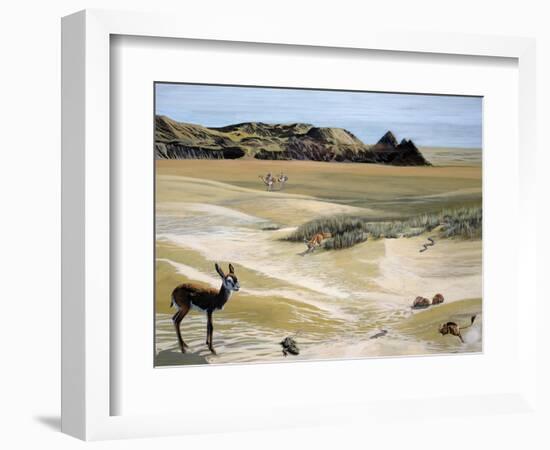 Desert Landscape and Fauna, Drawing-null-Framed Giclee Print