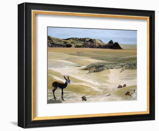 Desert Landscape and Fauna, Drawing-null-Framed Giclee Print