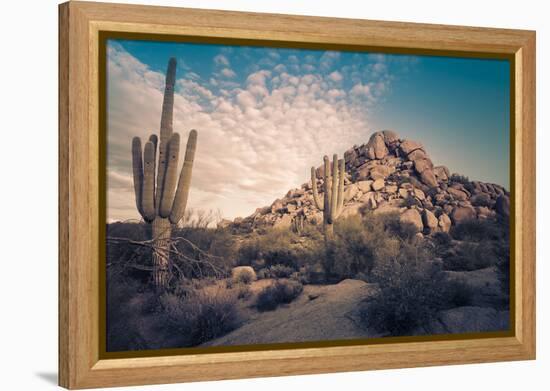 Desert Landscape in Scottsdale, Phoenix, Arizona Area - Image Cross Processed-BCFC-Framed Premier Image Canvas