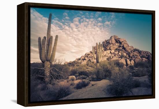 Desert Landscape in Scottsdale, Phoenix, Arizona Area - Image Cross Processed-BCFC-Framed Premier Image Canvas