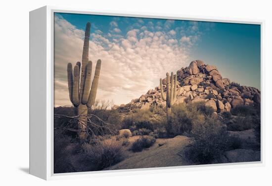 Desert Landscape in Scottsdale, Phoenix, Arizona Area - Image Cross Processed-BCFC-Framed Premier Image Canvas