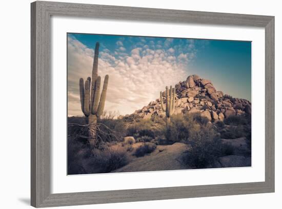 Desert Landscape in Scottsdale, Phoenix, Arizona Area - Image Cross Processed-BCFC-Framed Photographic Print