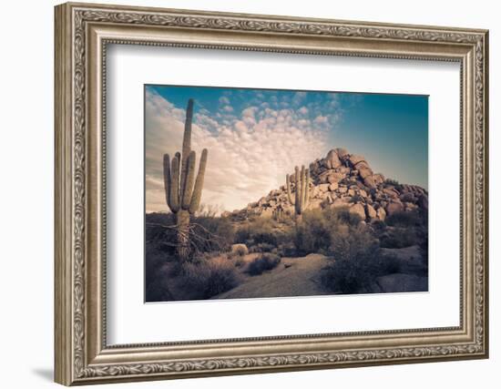 Desert Landscape in Scottsdale, Phoenix, Arizona Area - Image Cross Processed-BCFC-Framed Photographic Print