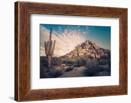 Desert Landscape in Scottsdale, Phoenix, Arizona Area - Image Cross Processed-BCFC-Framed Photographic Print