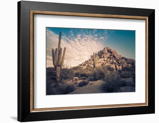 Desert Landscape in Scottsdale, Phoenix, Arizona Area - Image Cross Processed-BCFC-Framed Photographic Print